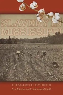 Rabszolgaság Mississippiben - Slavery in Mississippi