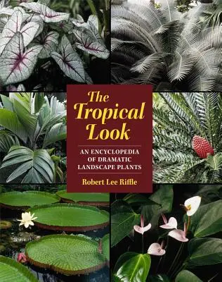 A trópusi pillantás: A drámai tájképi növények enciklopédiája - The Tropical Look: An Encyclopedia of Dramatic Landscape Plants