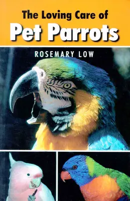 A kedvtelésből tartott papagájok szeretetteljes gondozása - Loving Care of Pet Parrots