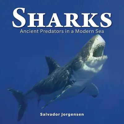 Cápák: Ősi ragadozók a modern tengerben - Sharks: Ancient Predators in a Modern Sea