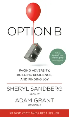 B. lehetőség: Szembenézni a nehézségekkel, ellenálló képességet építeni és örömöt találni - Option B: Facing Adversity, Building Resilience, and Finding Joy