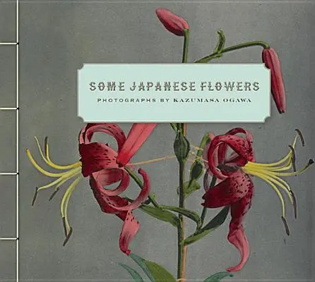 Néhány japán virág - Some Japanese Flowers