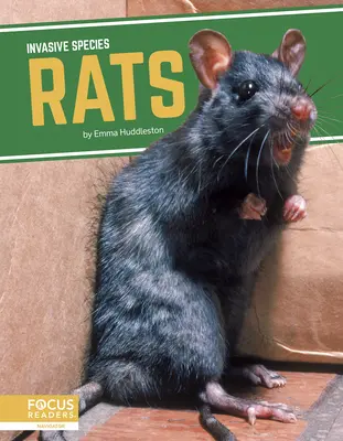 Patkányok - Rats