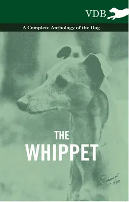 A whippet - A kutya teljes antológiája - The Whippet - A Complete Anthology of the Dog