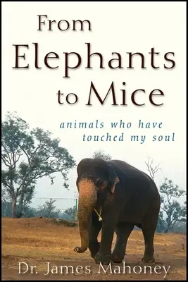 Az elefántoktól az egerekig: Állatok, amelyek megérintették a lelkemet - From Elephants to Mice: Animals Who Have Touched My Soul