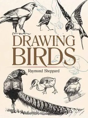 Madarak rajzolása - Drawing Birds