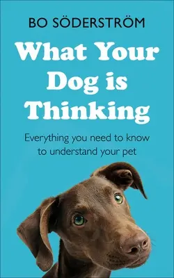 Amit a kutyád gondol: Minden, amit tudnod kell, hogy megértsd a háziállatodat - What Your Dog Is Thinking: Everything You Need to Know to Understand Your Pet