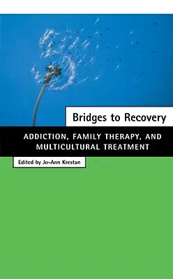 Hidak a fellendüléshez: Függőség, családterápia és multikulturális kezelés - Bridges to Recovery: Addiction, Family Therapy, and Multicultural Treatment