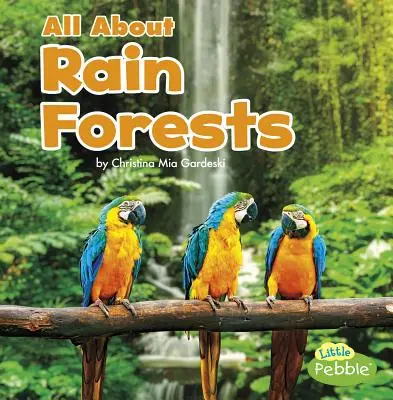 Minden az esőerdőkről - All about Rain Forests