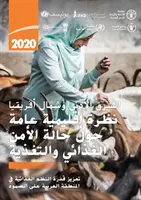 Közel-Kelet és Észak-Afrika - Az élelmezésbiztonság és táplálkozás 2020 regionális áttekintése - Near East and North Africa - Regional Overview of Food Security and Nutrition 2020
