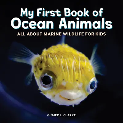 Az első könyvem az óceáni állatokról: Mindent a tengeri élővilágról gyerekeknek - My First Book of Ocean Animals: All about Marine Wildlife for Kids