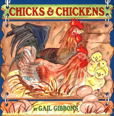 Csibék és csirkék - Chicks & Chickens