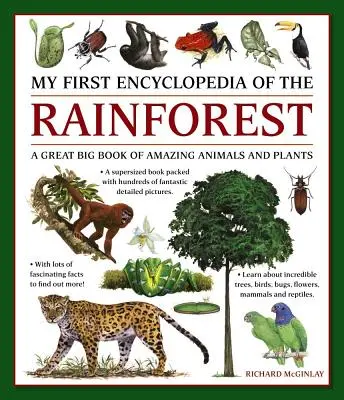 Az esőerdő első enciklopédiája: A Great Big Book of Amazing Animals and Plants (Egy nagy könyv a csodálatos állatokról és növényekről) - My First Encylopedia of the Rainforest: A Great Big Book of Amazing Animals and Plants