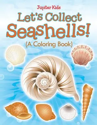 Gyűjtsünk kagylókat! (Színezőkönyv) - Let's Collect Seashells! (A Coloring Book)