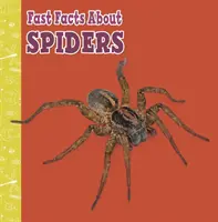 Gyors tények a pókokról - Fast Facts About Spiders