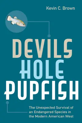 Devils Hole Pupfish: Egy veszélyeztetett faj váratlan túlélése a modern amerikai nyugaton - Devils Hole Pupfish: The Unexpected Survival of an Endangered Species in the Modern American West