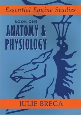 Anatómia és élettan - Anatomy & Physiology