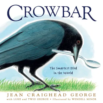 Crowbar: A világ legokosabb madara - Crowbar: The Smartest Bird in the World