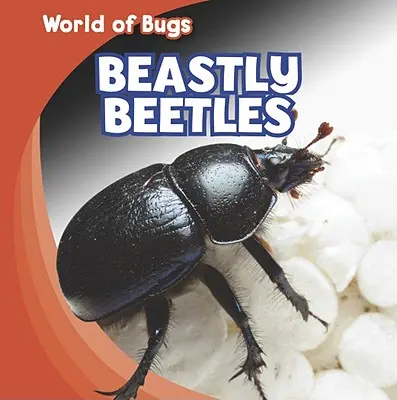 Vadállati bogarak - Beastly Beetles