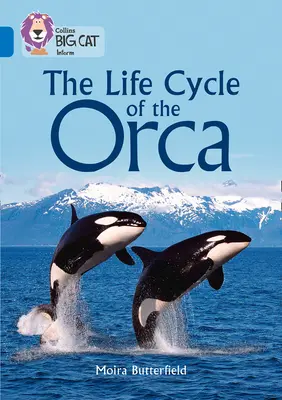 Collins Nagymacska - Az orka életciklusa: 16. kötet/Szafír - Collins Big Cat - The Life Cycle of the Orca: Band 16/Sapphire