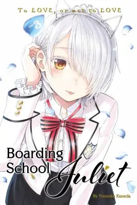 Juliet bentlakásos iskola 3 - Boarding School Juliet 3