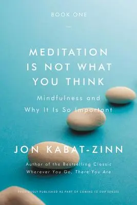 A meditáció nem az, amire gondolsz: Mindfulness and Why It Is So Important - Meditation Is Not What You Think: Mindfulness and Why It Is So Important