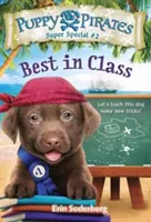 Kölyökkalózok szuperkülönszám #2: Az osztály legjobbja - Puppy Pirates Super Special #2: Best in Class