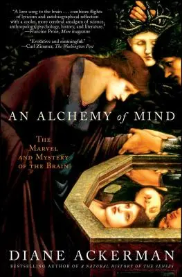 Az elme alkímiája: Az agy csodája és rejtélye - An Alchemy of Mind: The Marvel and Mystery of the Brain