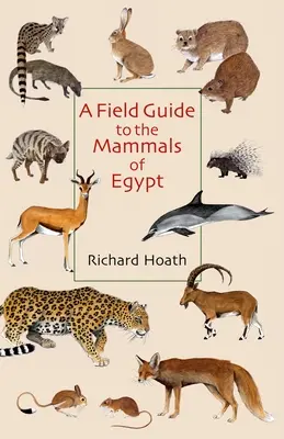 A Field Guide to the Mammals of Egypt (Egyiptom emlőseinek terepikalauza) - A Field Guide to the Mammals of Egypt