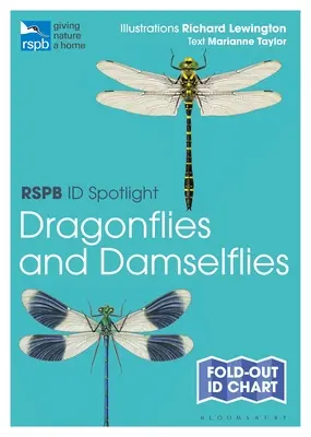 Rspb Id Spotlight - Szitakötők és szitakötők - Rspb Id Spotlight - Dragonflies and Damselflies