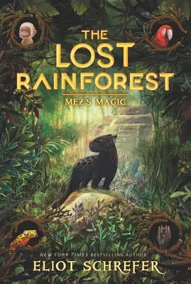 Az elveszett esőerdő: Mez varázslata - The Lost Rainforest: Mez's Magic