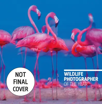 Az év természetfotósa: Portfólió 31, 31 - Wildlife Photographer of the Year: Portfolio 31, 31