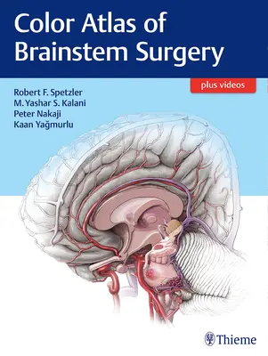 Az agytörzsi sebészet színes atlasza - Color Atlas of Brainstem Surgery