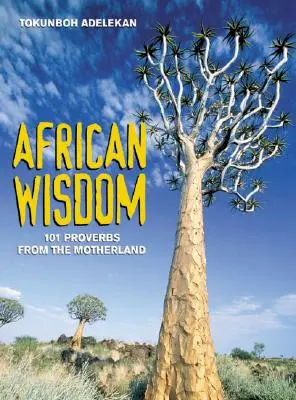 Afrikai bölcsesség: 101 közmondás az anyaországból - African Wisdom: 101 Proverbs from the Motherland