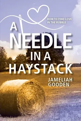 Tű a szénakazalban: Hogyan találjuk meg a szerelmet a törmelékben - A Needle in a Haystack: How to Find Love in the Rubble