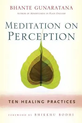 Meditáció az észlelésről: Tíz gyógyító gyakorlat az éberség műveléséhez - Meditation on Perception: Ten Healing Practices to Cultivate Mindfulness