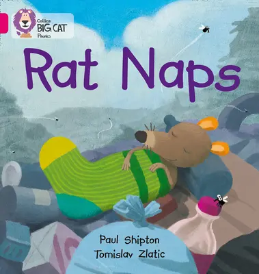 Patkány szundikál - Rat Naps