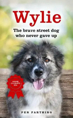 Wylie: A bátor utcakutya, aki soha nem adta fel - Wylie: The Brave Street Dog Who Never Gave Up