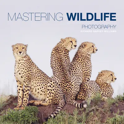 A vadon élő állatok fotózásának elsajátítása - Mastering Wildlife Photography