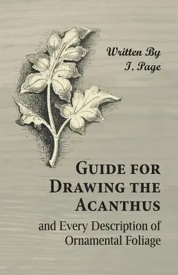 Útmutató az akantusz rajzolásához, és a díszítő lombozat minden leírása - Guide for Drawing the Acanthus, and Every Description of Ornamental Foliage