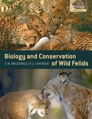 A vadon élő macskafélék biológiája és megőrzése - Biology and Conservation of Wild Felids