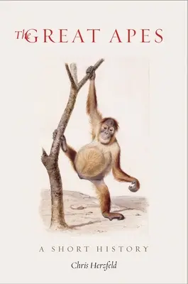 A majmok rövid története - The Great Apes: A Short History