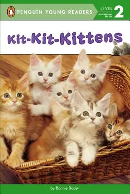 Kit-Kit-Kit-Kitten - Kit-Kit-Kittens