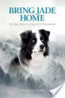 Hozd haza Jade-et: Egy Yellowstone-ban elveszett kutya igaz története - Bring Jade Home: The True Story of a Dog Lost in Yellowstone