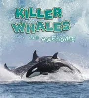 A gyilkos bálnák félelmetesek - Killer Whales Are Awesome