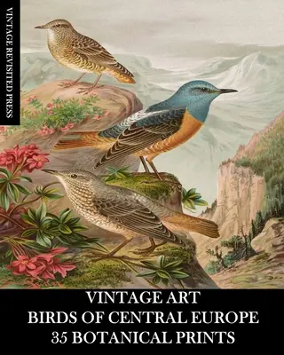 Vintage Art: Vintage Art: Közép-Európa madarai: 35 botanikai nyomat - Vintage Art: Birds of Central Europe: 35 Botanical Prints