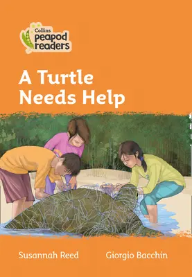 4. szint - A teknősnek segítségre van szüksége - Level 4 - A Turtle Needs Help