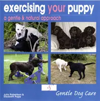 A kiskutya edzése - Exercising Your Puppy