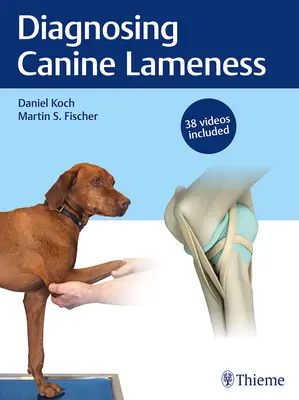 A kutyák sántaságának diagnosztizálása - Diagnosing Canine Lameness