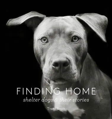 Finding Home: Shelter Dogs and Their Stories (a Photographic Tribute to Rescue Dogs) (Otthonra találni: Menhelyi kutyák és történeteik (a Photographic Tribute to Rescue Dogs)) - Finding Home: Shelter Dogs and Their Stories (a Photographic Tribute to Rescue Dogs)